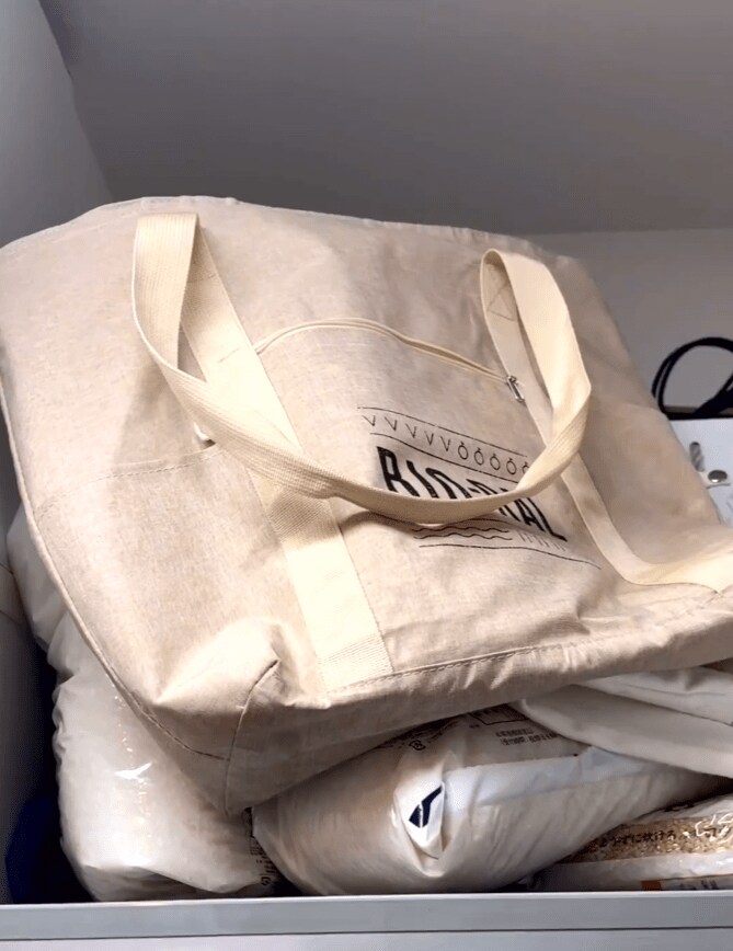 買い物袋の後ろにいた猫