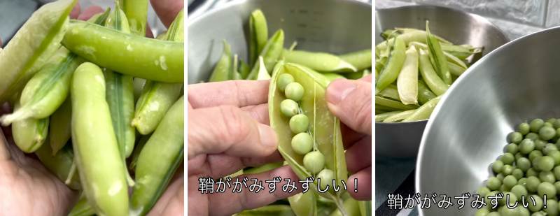 投稿の画像