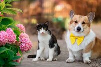 【高齢者向け給付まとめ】年金生活者支援給付金や社会保険制度をやさしく解説！