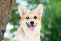 【4月分より年金額は1.9％増額】65歳以上・無職世帯「月の生活費・貯蓄額・年金月額」平均額はいくらか