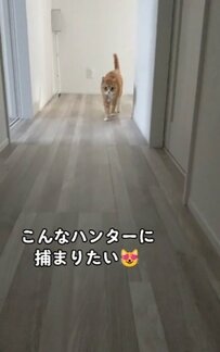 可愛すぎなにゃんこハンター見参！勇ましくもキュートな姿に「捕まりたい」というユーザーも！