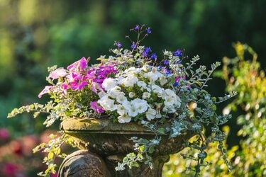 寄せ植えガーデニング「センスのよい寄せ植えを作る4つのコツ」春