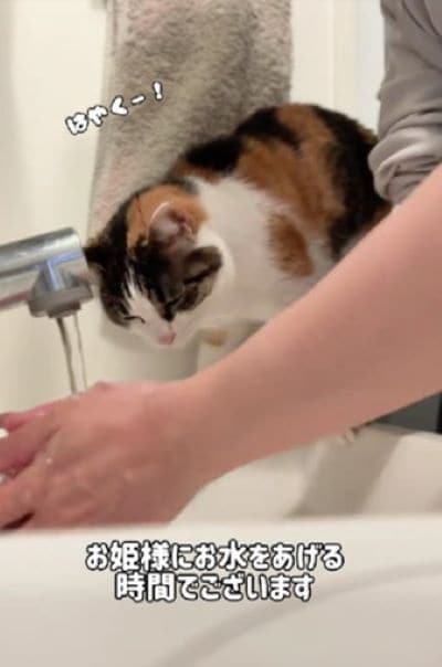 投稿動画のワンシーン