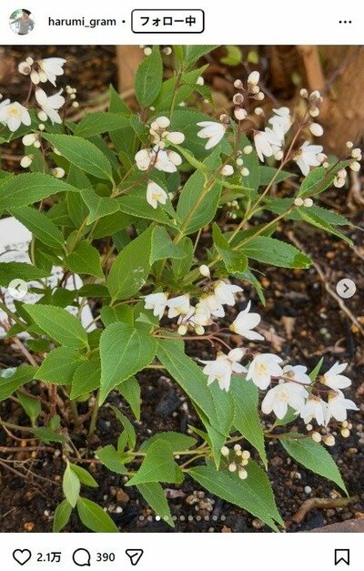 栗原はるみのInstagram投稿