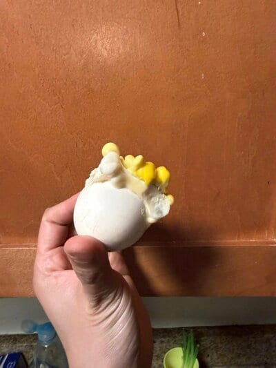 投稿の画像