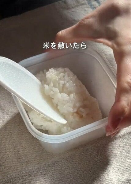 旦那さんに作る【ハンバーグおにぎらず弁当】どーんと丸ごとハンバーグで美味しそう！