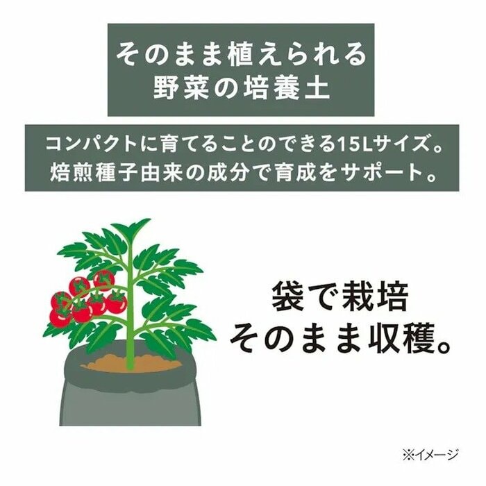 野菜を育てるためにわざわざ大きなプランターを購入しなくてもいいです