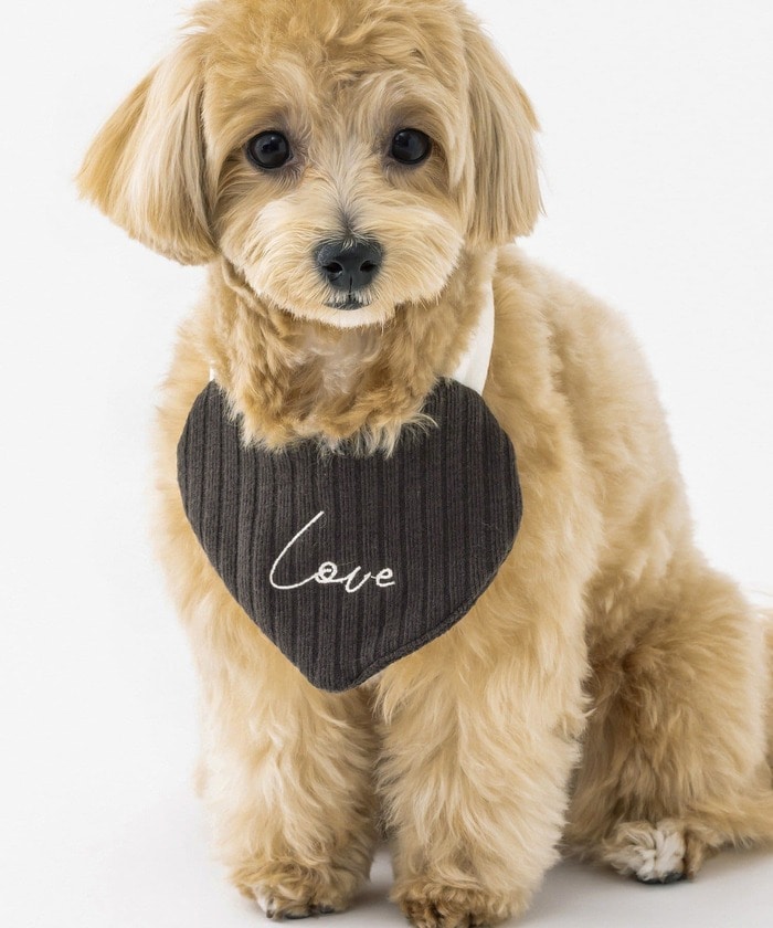 被り物が苦手なペットでも安心の「ハートスタイ」