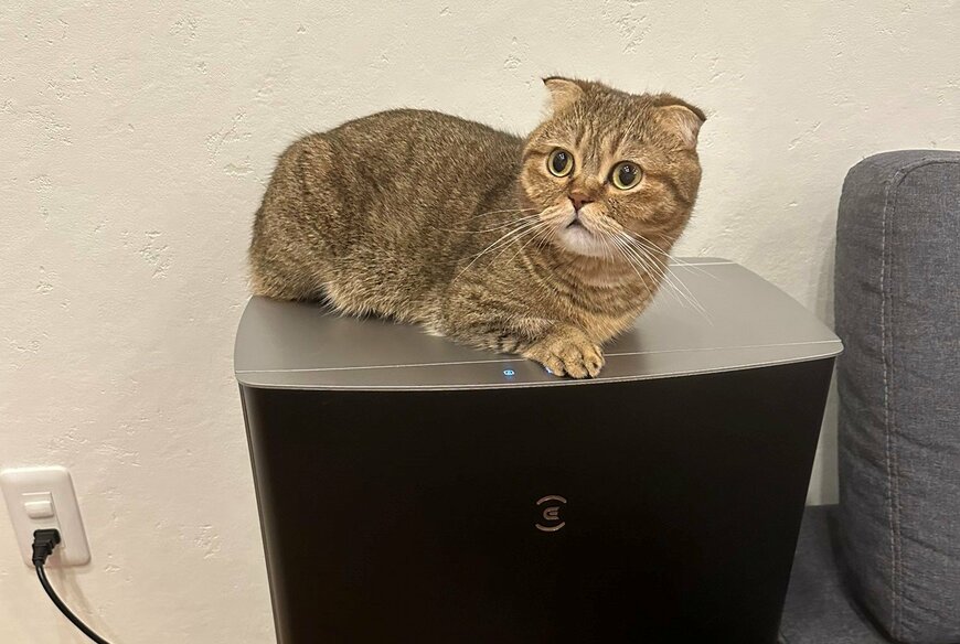 出所：@ponpokopontanu