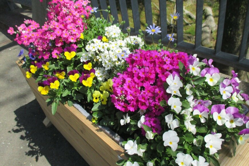 Yasuo Iwami/istockphoto.com