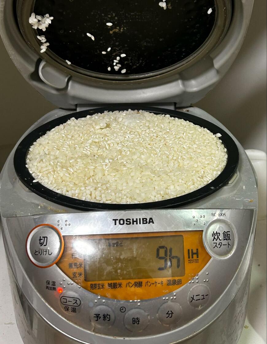 出所：@GALA_KANEKO