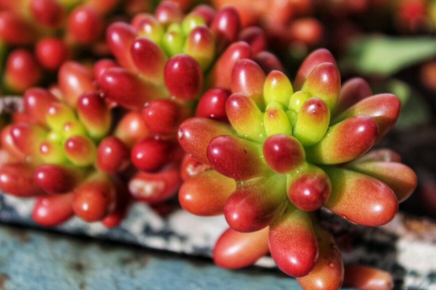 Sonia Bonet/shutterstock.com