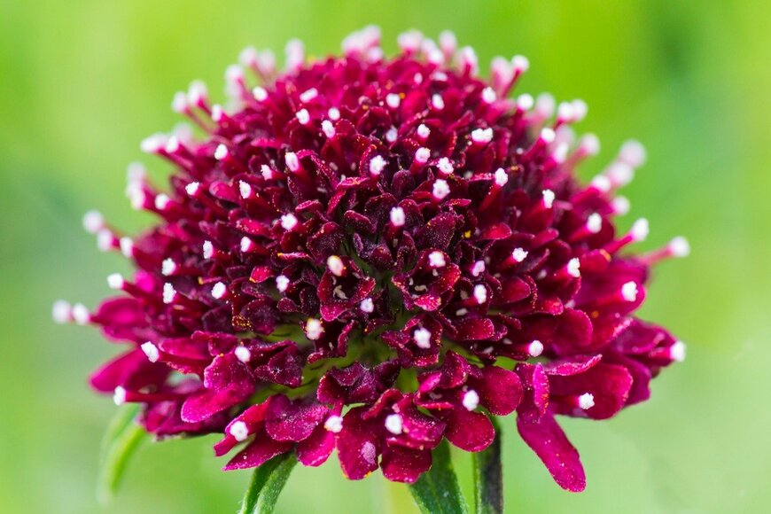 monitor6/istockphoto.com