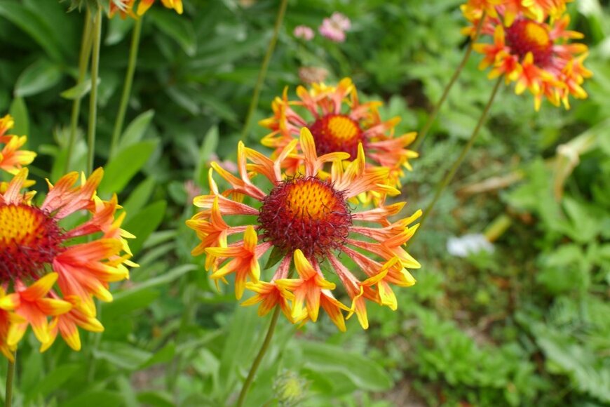 mrivserg/shutterstock.com