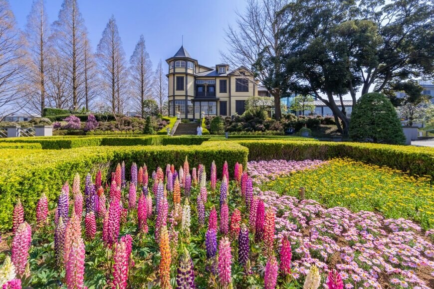 picture cells/shutterstock.com