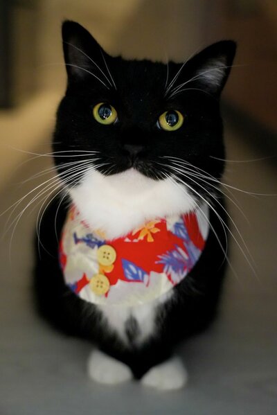 出所：@unicouniuni3