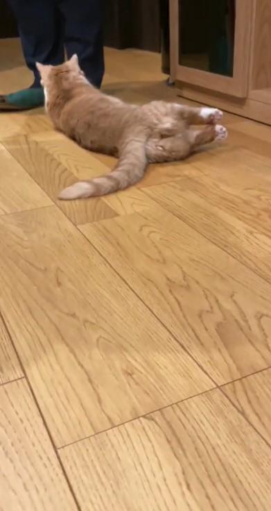 出所：@kotaro_0315