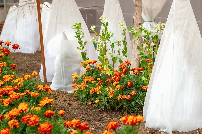 Kurdyukova Olga/istockphoto.com