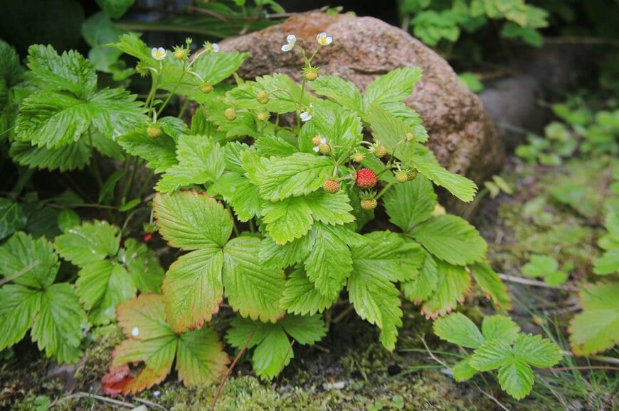 Hejsaya/shutterstock.com