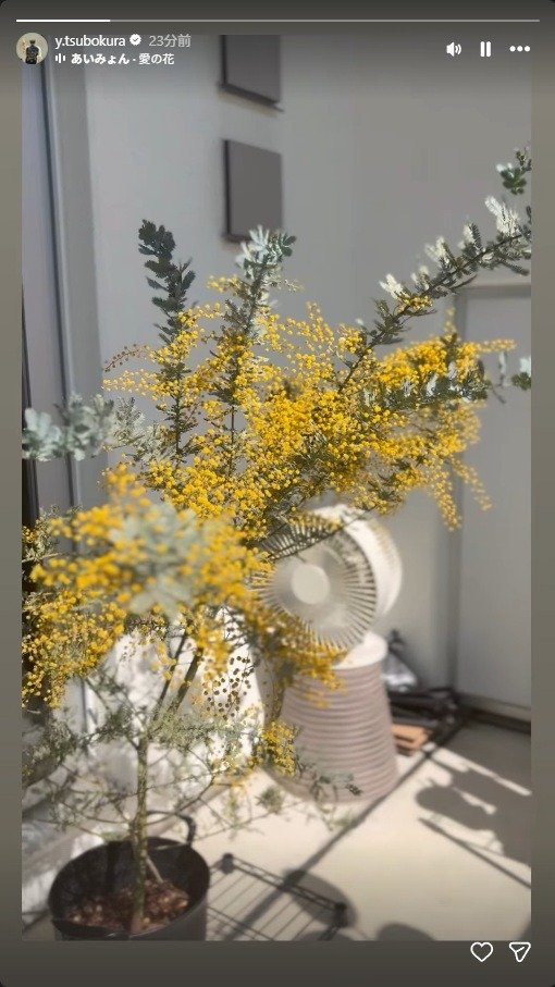 出所：坪倉由幸のInstagram（＠y.tsubokura）　参照日：2026年3月11日