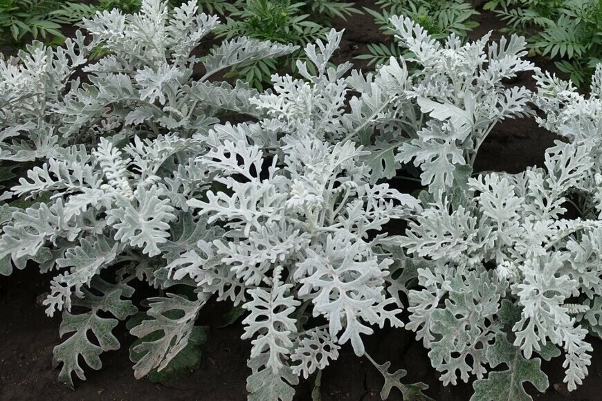 apugach/istockphoto.com