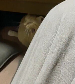 出所：@luna7taka9