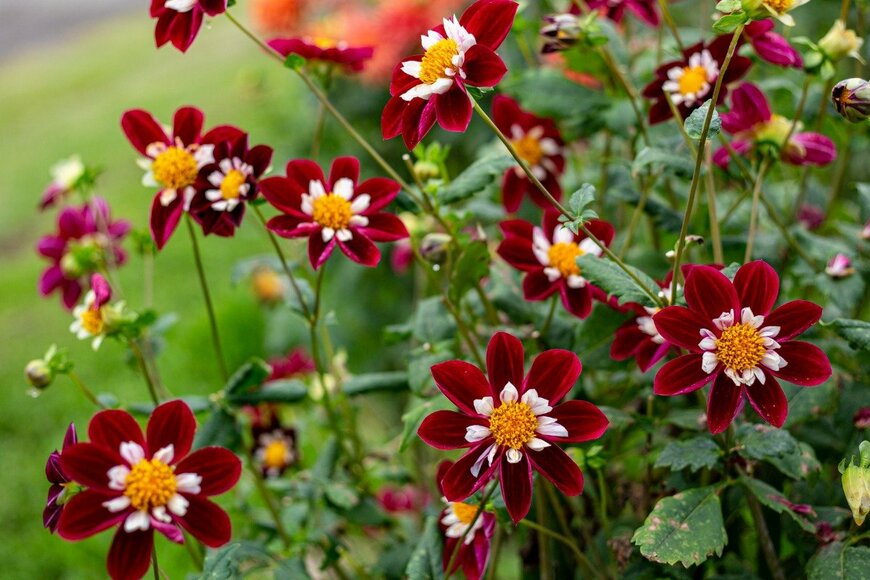 Billy_Fam/istockphoto.com