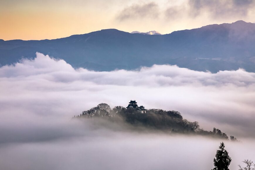 M Andy/shutterstock.com