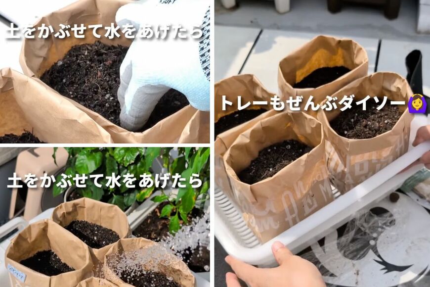 出所：＠ran_veranping