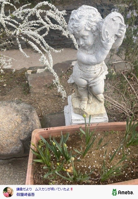 出所：假屋崎省吾の公式ブログ　参照日：2026年3月13日