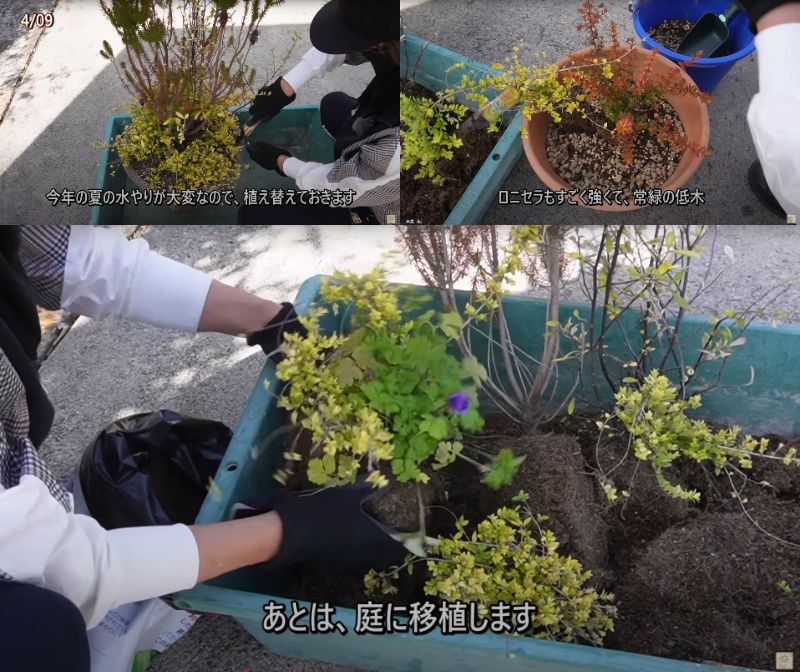 出所：@ohanachannel30