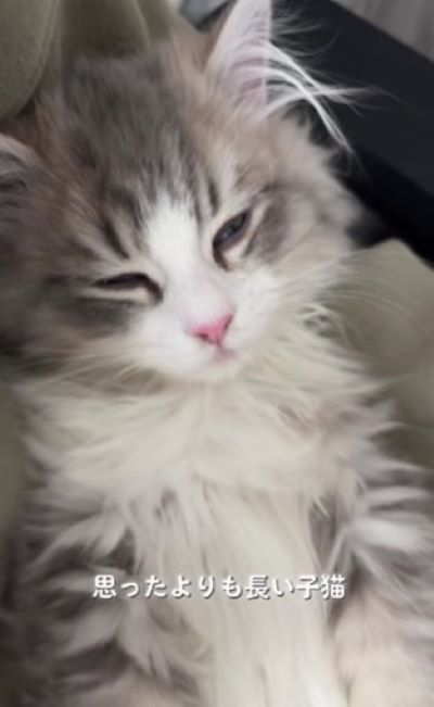 出所：@rurudiary_