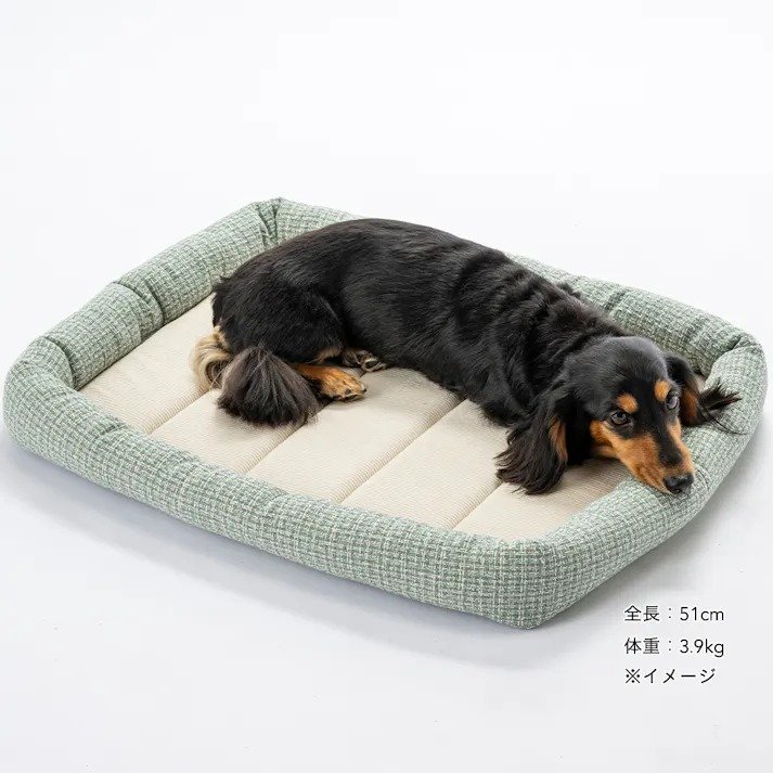 画像出所：カインズ公式オンラインストア