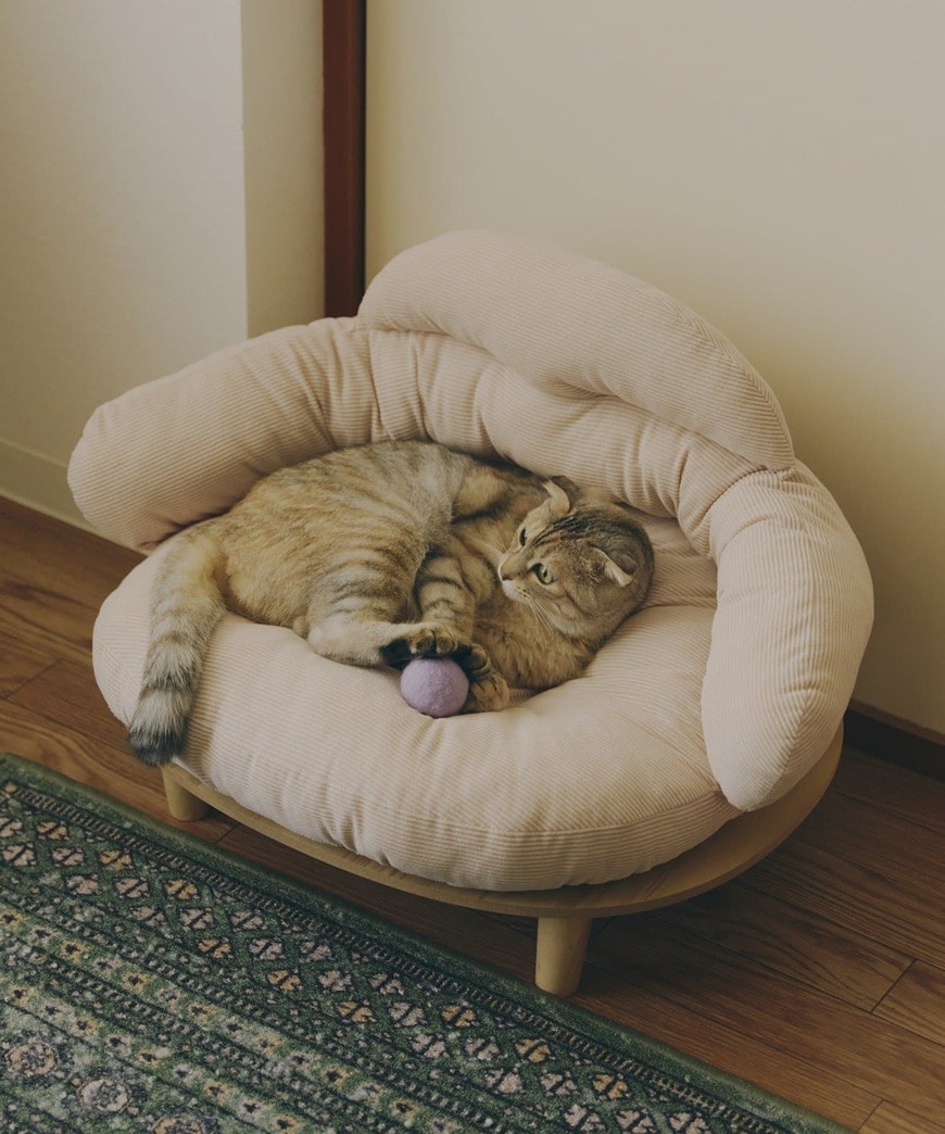 出所：パルグループ公式ファッション通販サイト　《WEB限定商品》ペットソファ／猫と暮らす