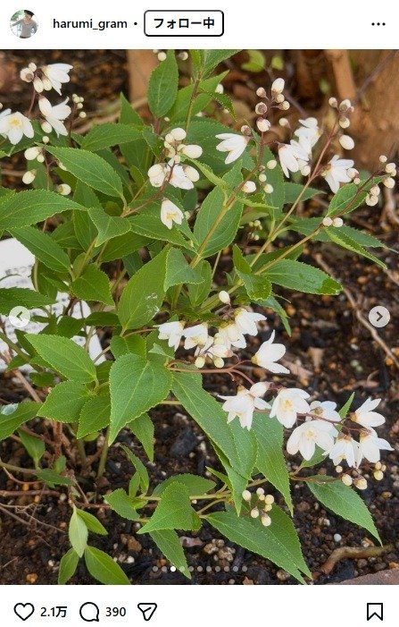 出所：栗原はるみのInstagram（＠harumi_gram） 参照日：2026年3月18日