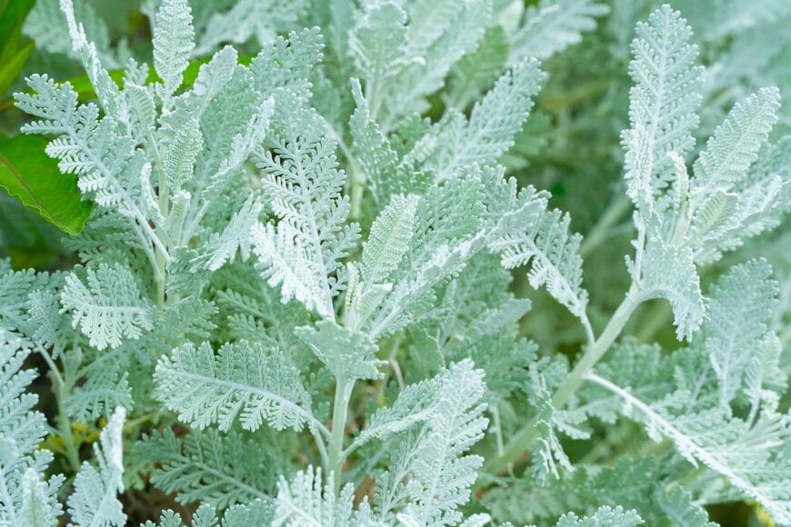 TYAK FACTORY/shutterstock.com