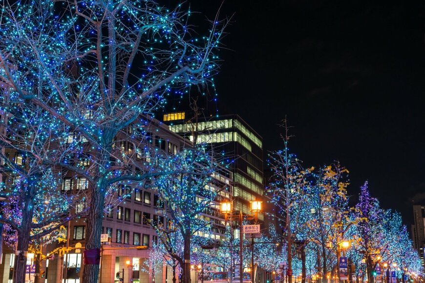 Shawn.ccf/shutterstock.com