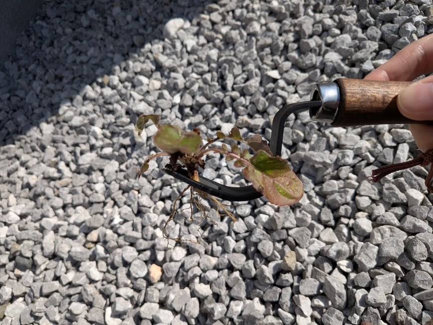 「スポッと気持ちよく抜けます！」