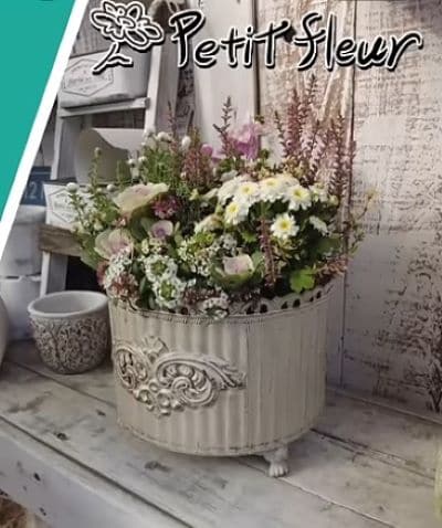 寒さに強い植物で《冬の寄せ植え》初心者でも「センスよく決まる作り方」を園芸のプロが解説！