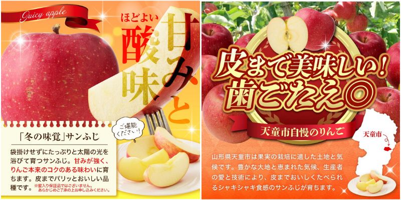 出所：ふるさとチョイス　りんご(サンふじ)10kg （山形県 天童市）