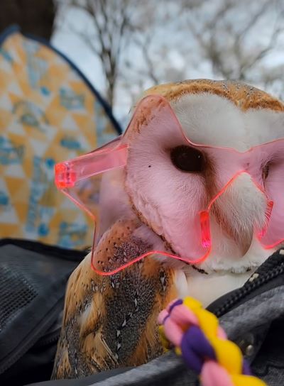 出所：@miki4wan108