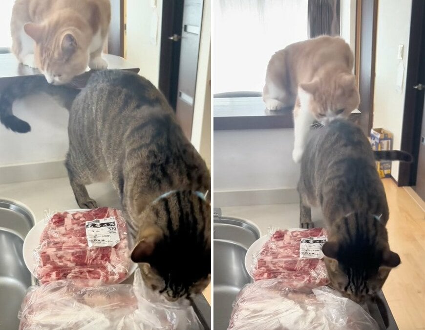 出所：@sorakai0905