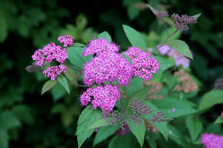 Pavel Palkin/istockphoto.com