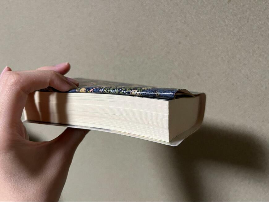 筆者撮影（セリア、ノート＆ブックカバー A6・文庫本対応サイズ マスターピースコレクション/WM）