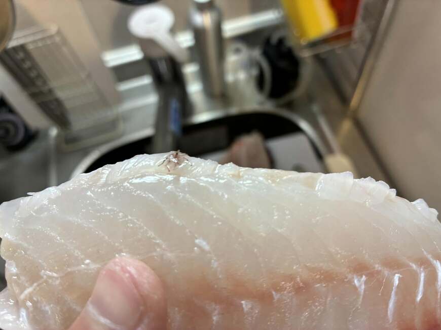 投稿の画像