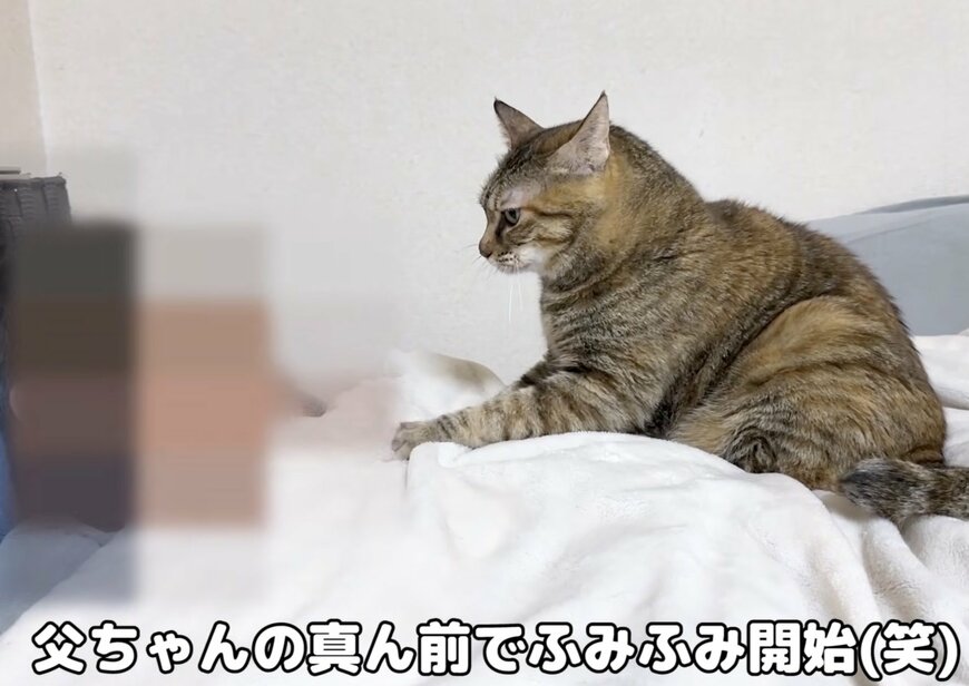 投稿の画像