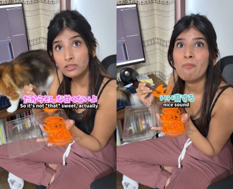 投稿動画のワンシーン