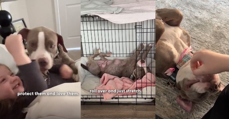 「刺激を受けました」「心が温まった」の声