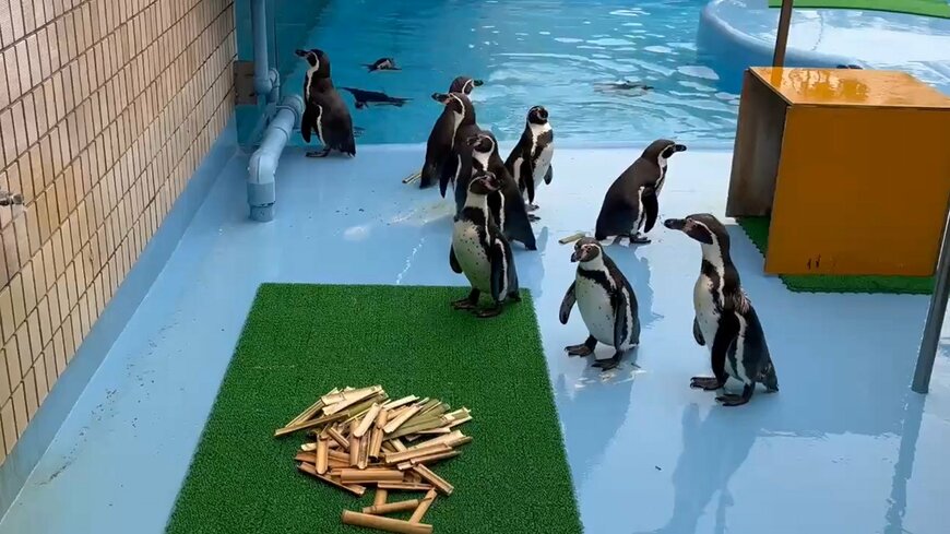 神戸市立王子動物園