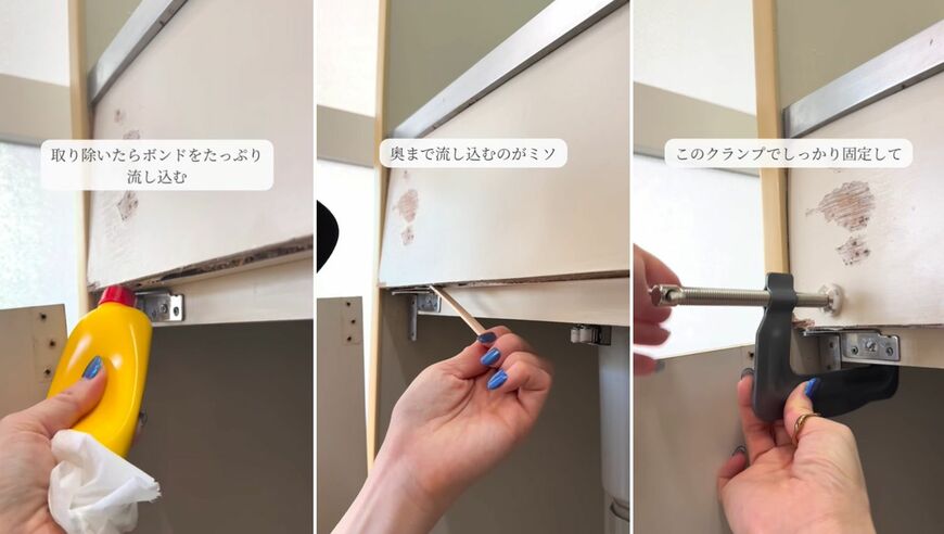 投稿の画像
